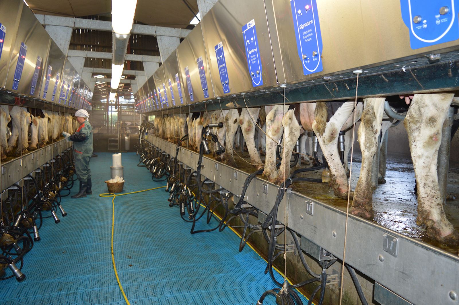 image d'un salle de traite